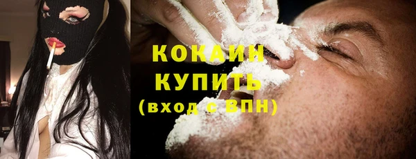 твердый Пересвет