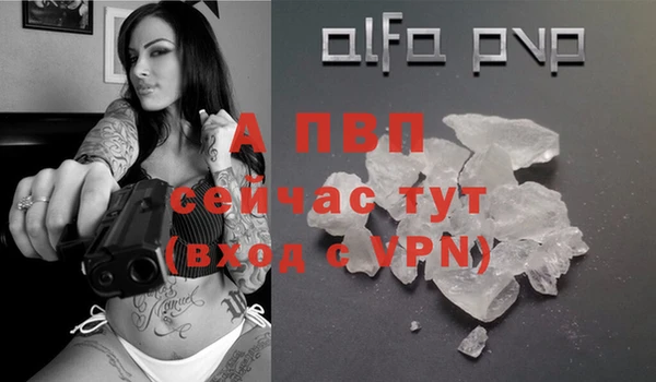 дмт Переславль-Залесский