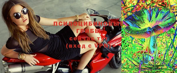 дмт Переславль-Залесский