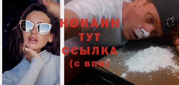 твердый Пересвет