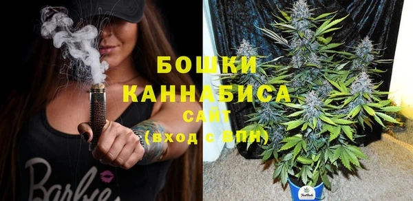 дмт Переславль-Залесский
