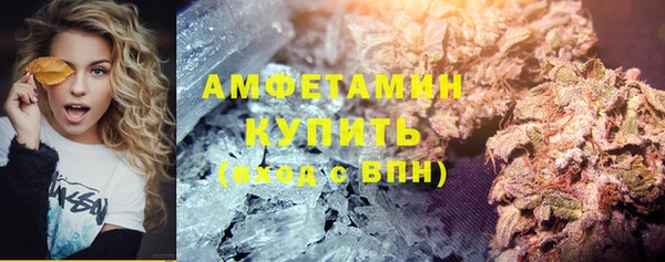дмт Переславль-Залесский