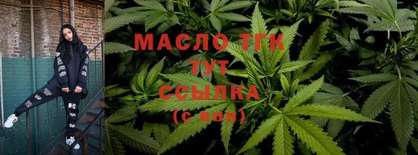 дмт Переславль-Залесский