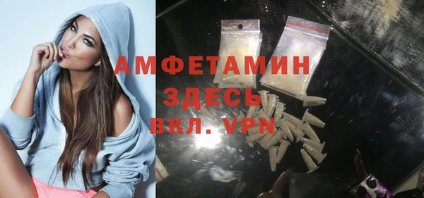 твердый Пересвет