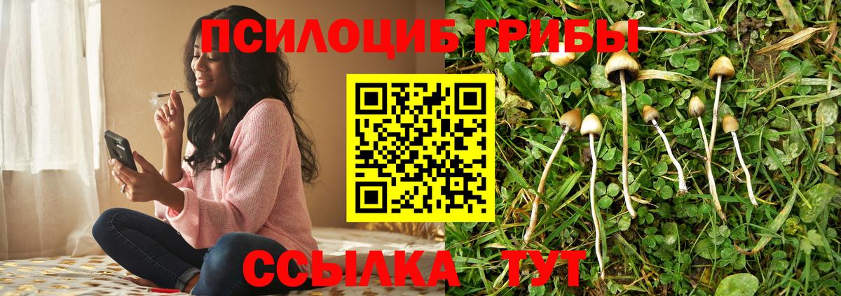 Псилоцибиновые грибы прущие грибы  купить   Среднеуральск  Вход с VPN 