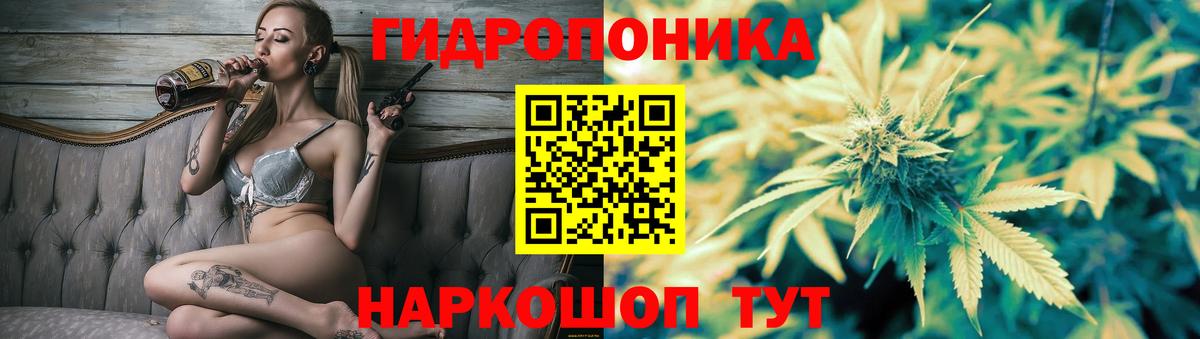 Конопля конопля Среднеуральск
